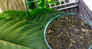 Benefits of Kratom