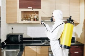 Home Pest Control Services