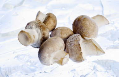 can you freeze mushrooms