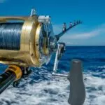 fishing reel
