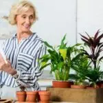 Plant Delivery Online