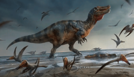 Biggest Meat-eating Dinosaur