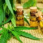 CBD Cannabis Oil