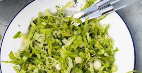How to shred lettuce