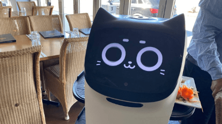Robot Service In Restaurant
