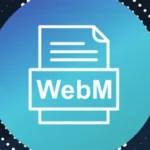 How to add webm to my site