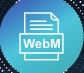 How to add webm to my site