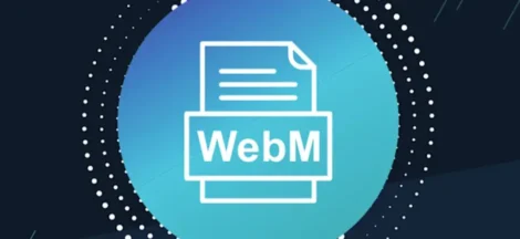 How to add webm to my site