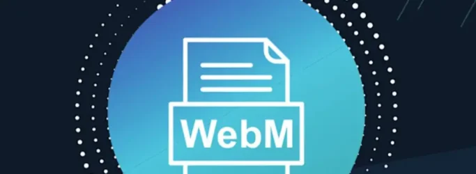 How to add webm to my site