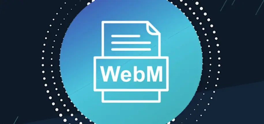 How to add webm to my site