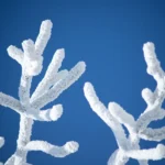 serverless cold start reduction consultants - None