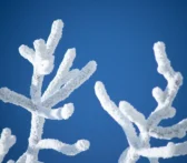 serverless cold start reduction consultants - None