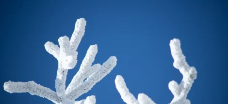 serverless cold start reduction consultants - None