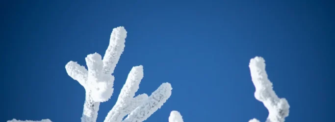 serverless cold start reduction consultants - None