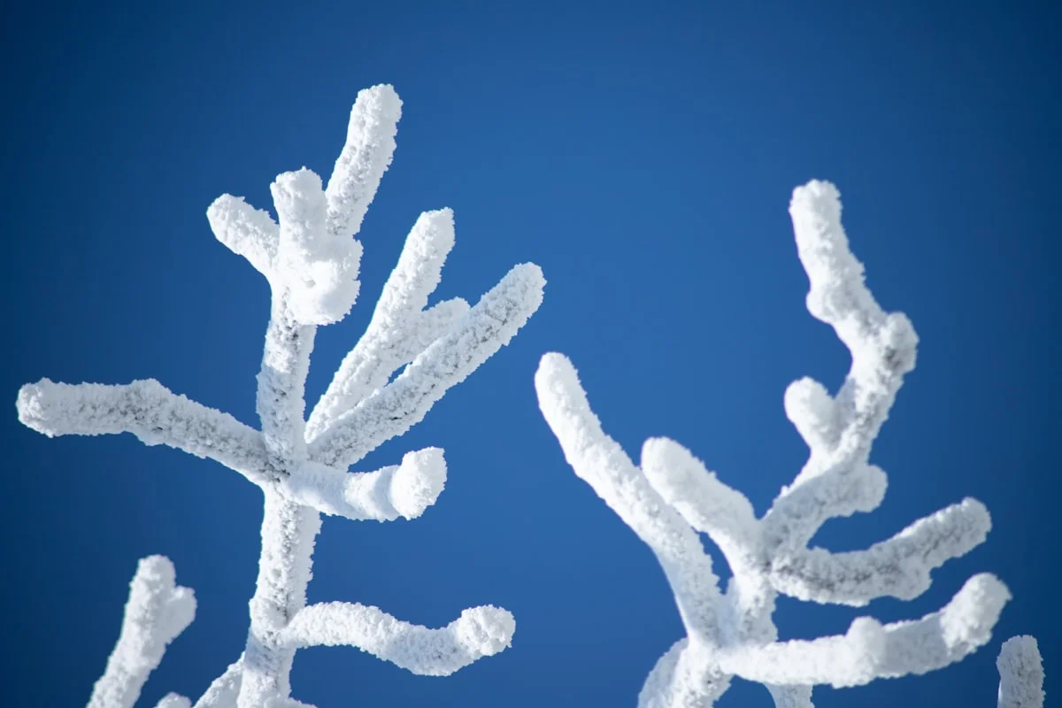 serverless cold start reduction consultants - None