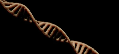 best DNA testing for ancestry and health - None