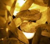 best gold IRA rollover companies - Closeup of shells made into a chandelier in warm light.