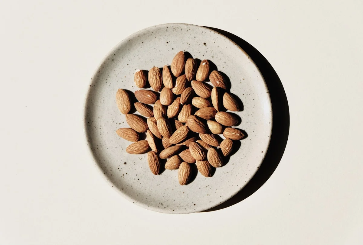 best vegan protein powder for sensitive stomach - None