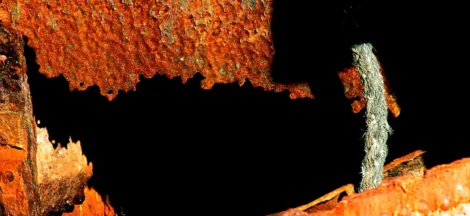 embedded Rust programming contractors USA - None