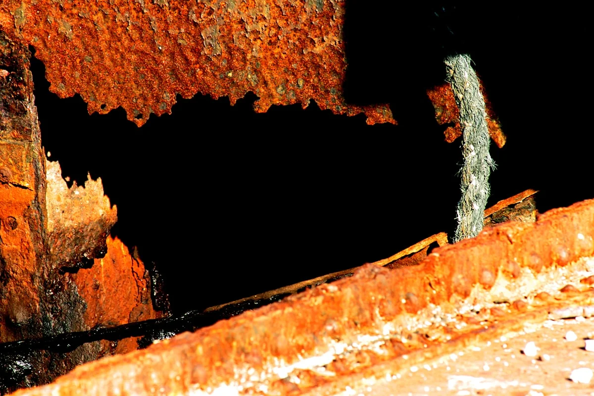 embedded Rust programming contractors USA - None