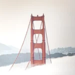 WebAssembly consulting services California - san Francisco