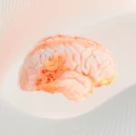 what foods boost brain function memory - The emergence of artificial intelligence