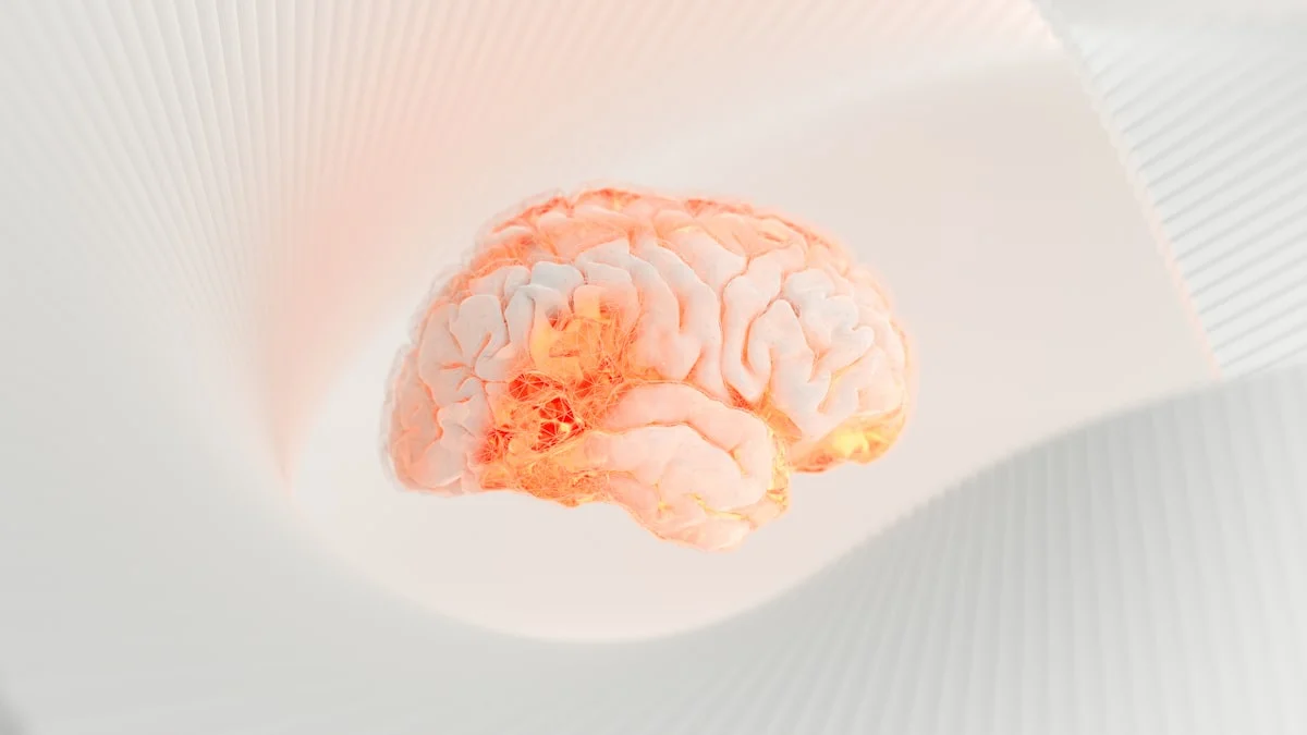 what foods boost brain function memory - The emergence of artificial intelligence