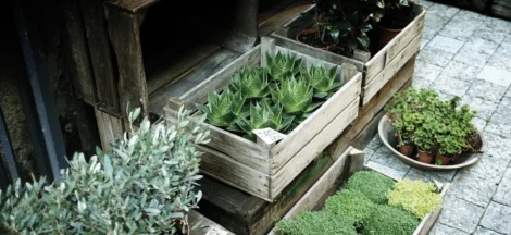 beginner's guide to building a raised garden bed from pallets - None