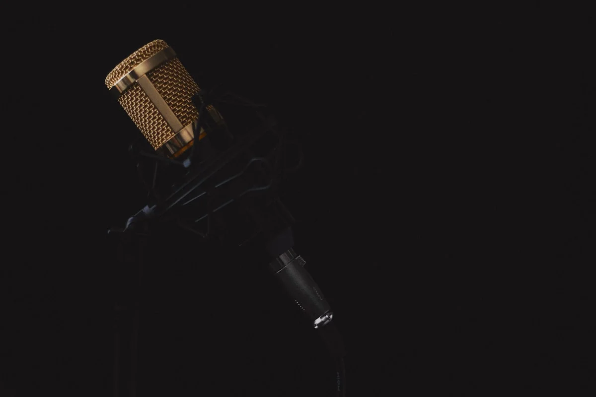 best budget microphone for YouTube voiceovers in london - Darkness of speech