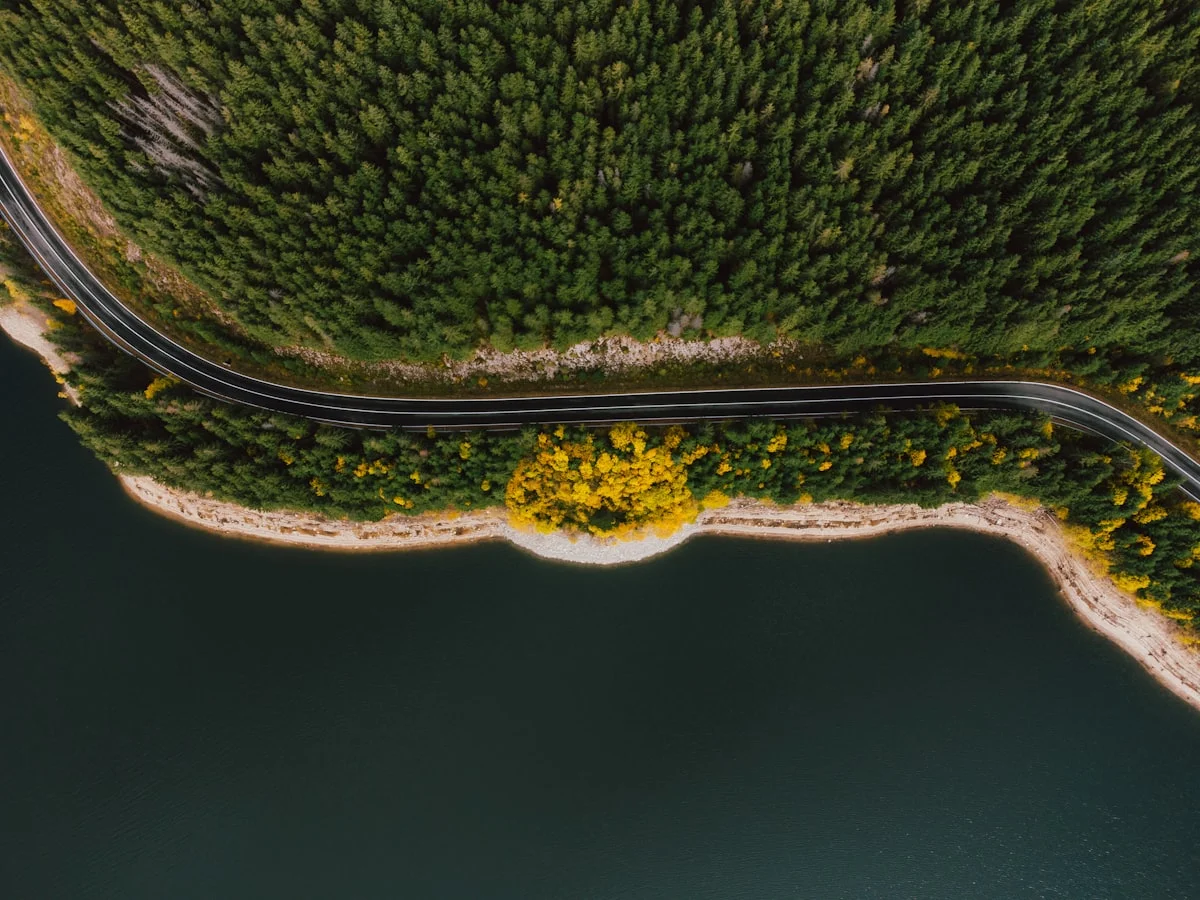 how to add location in google maps - None