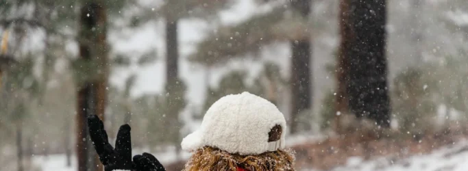 how to get your car ready for winter driving - None