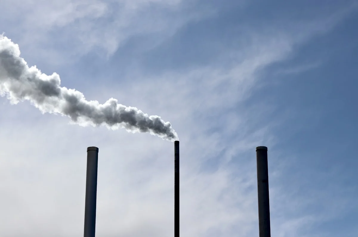 how to track your carbon footprint easily in the US - '(o)(o)'