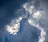 how to track your carbon footprint easily in US - Fotografo: juan manuel nuñez mendez https://www.instagram.com/juanmanunez/ https://lacrea.cl/