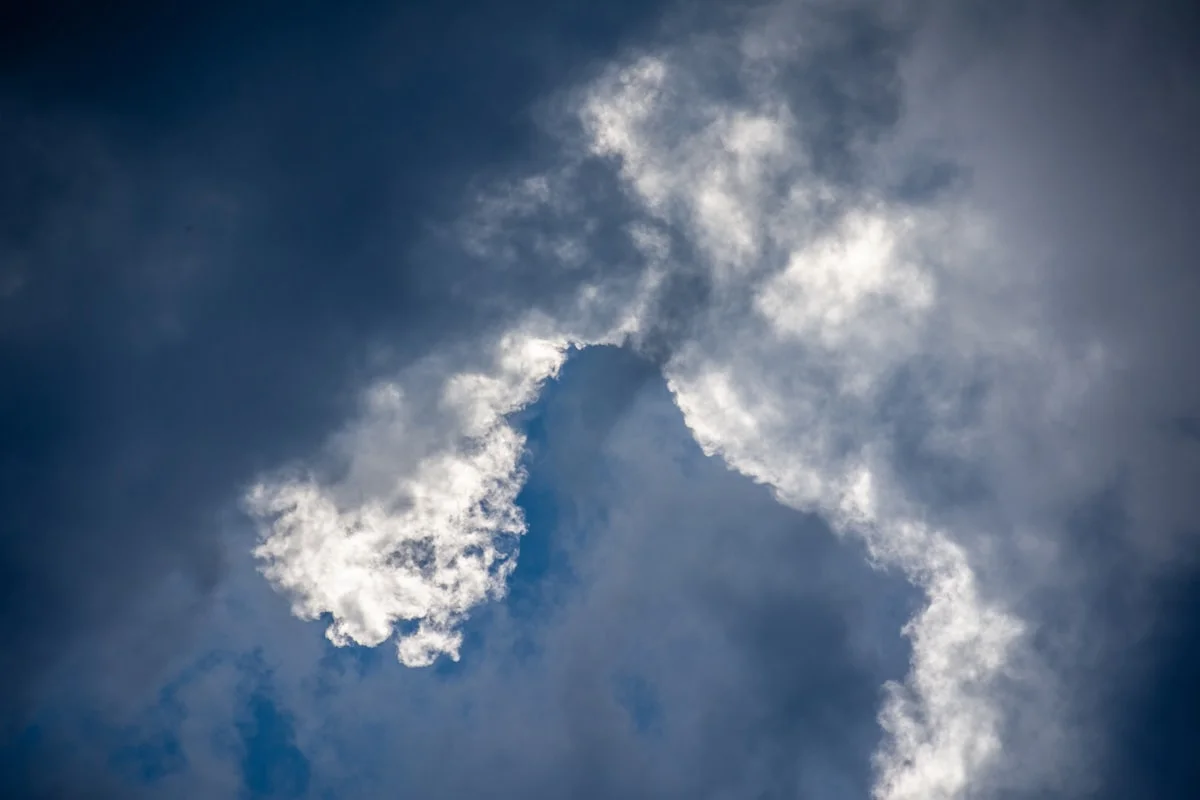 how to track your carbon footprint easily in US - Fotografo: juan manuel nuñez mendez https://www.instagram.com/juanmanunez/ https://lacrea.cl/