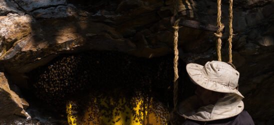 Honey with Hot Water